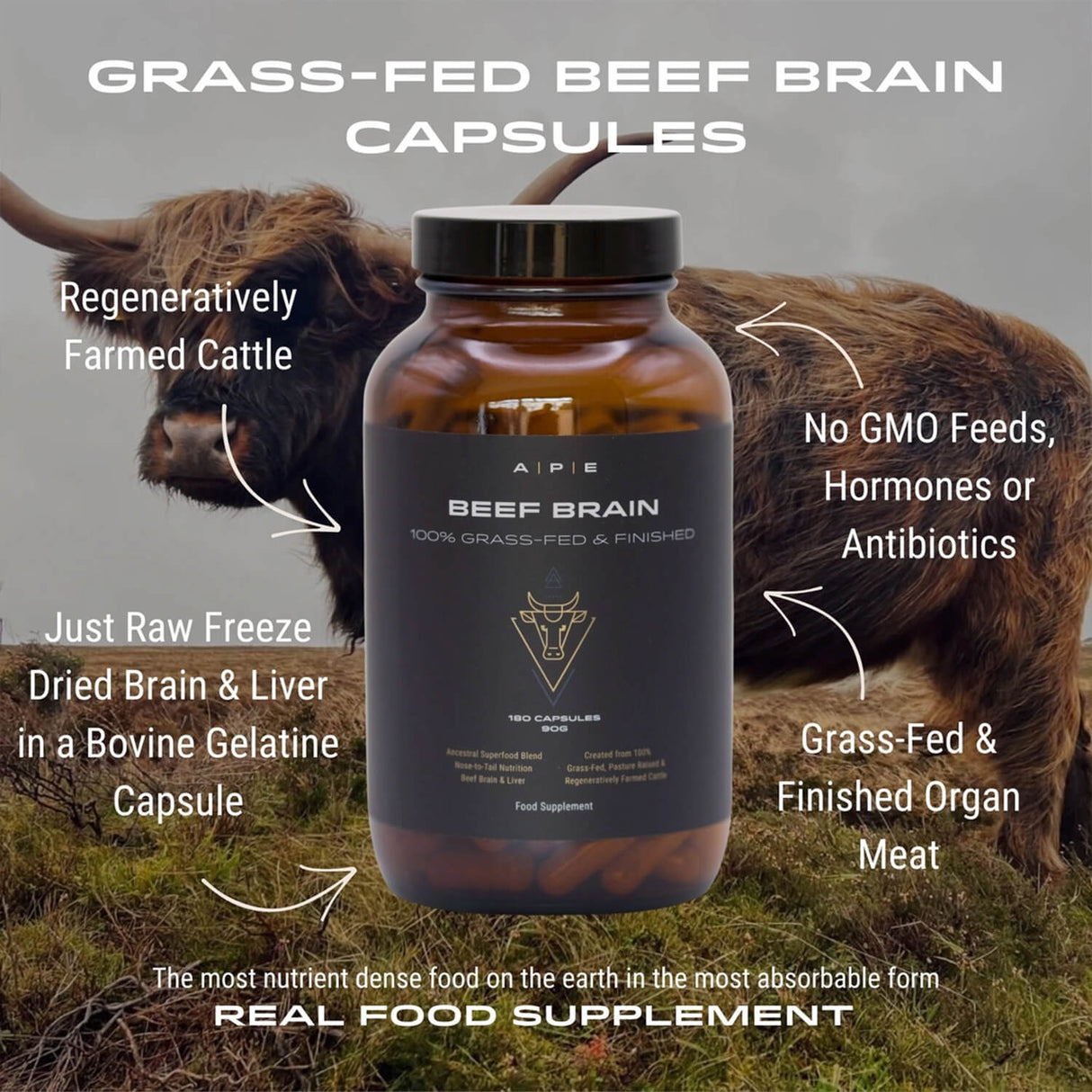 Bottle of beef brain capsules with a cow in the background, and text highlighting product features.