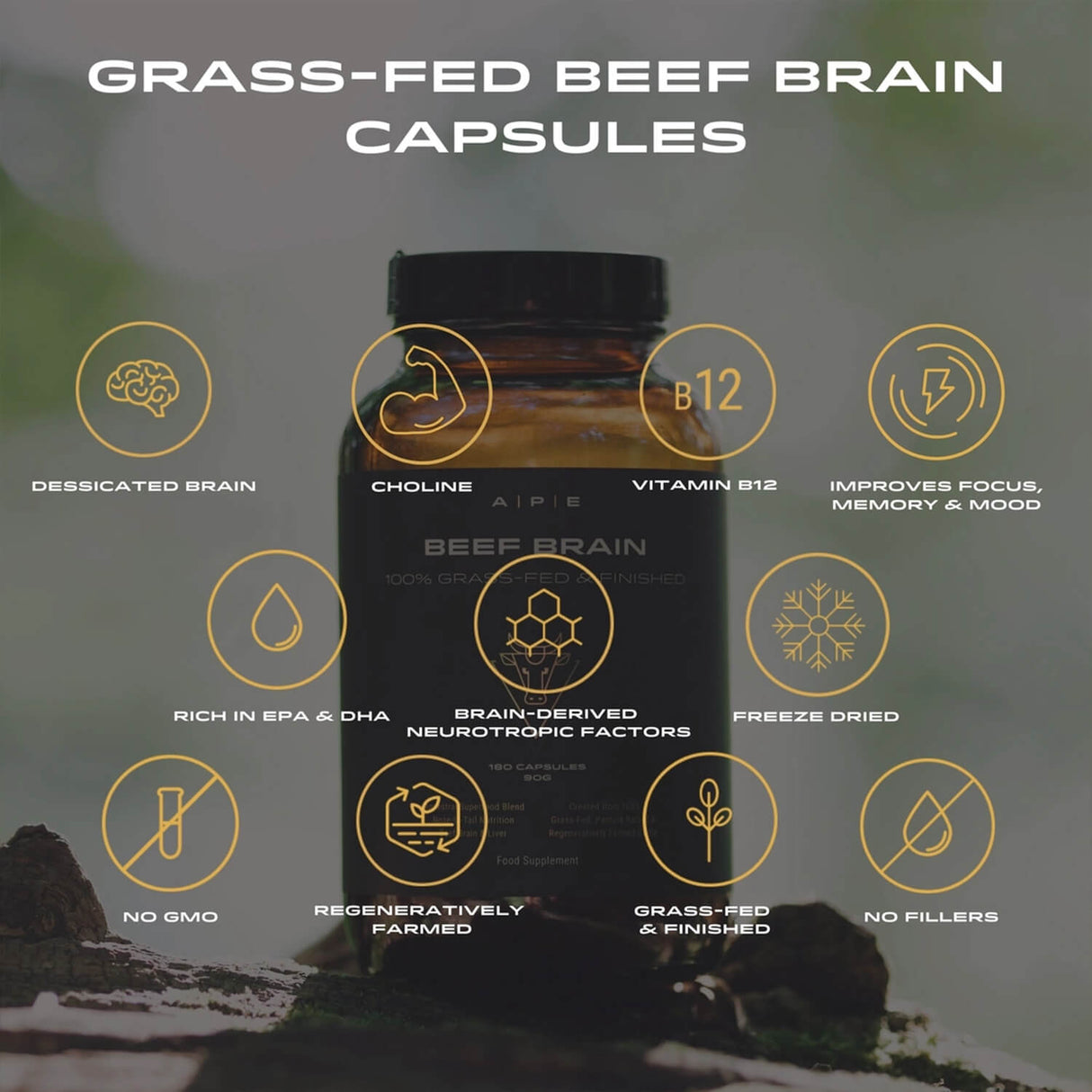 Bottle of grass-fed beef brain capsules with descriptive icons and text.