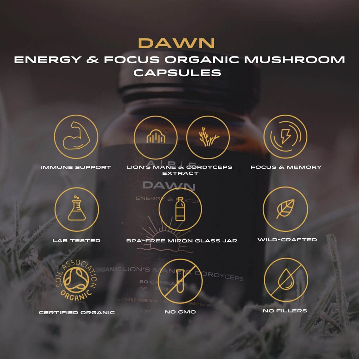 Bottle of energy and focus organic mushroom capsules with feature icons.