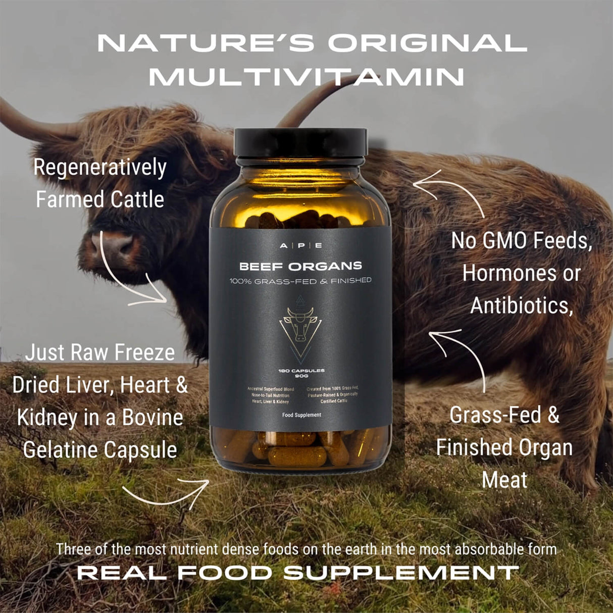 Bottle of beef organ multivitamin with cow in background