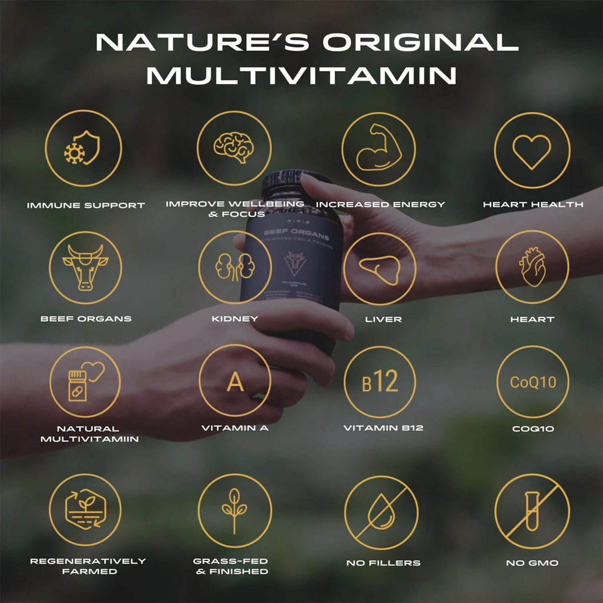 beef organ capsules bottle being handed over with health benefits illustrated.