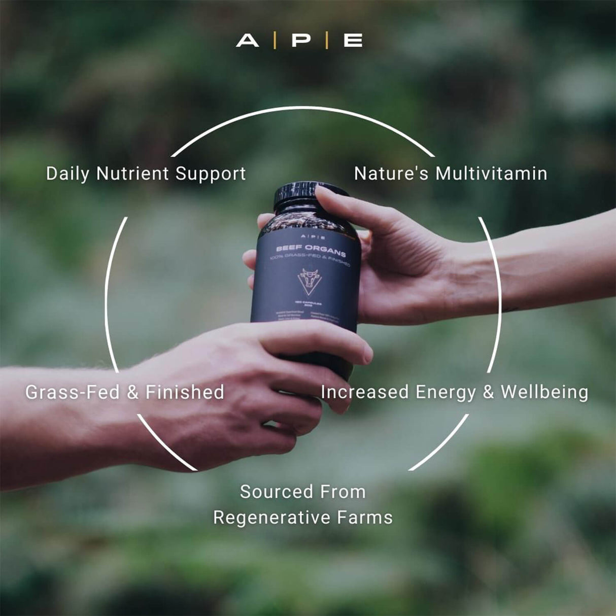 Two hands exchanging a bottle of beef organ supplements with text highlighting benefits.