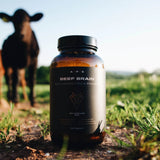 Supplement bottle labeled 'Beef Brain' on a grassy field with a cow in the background.