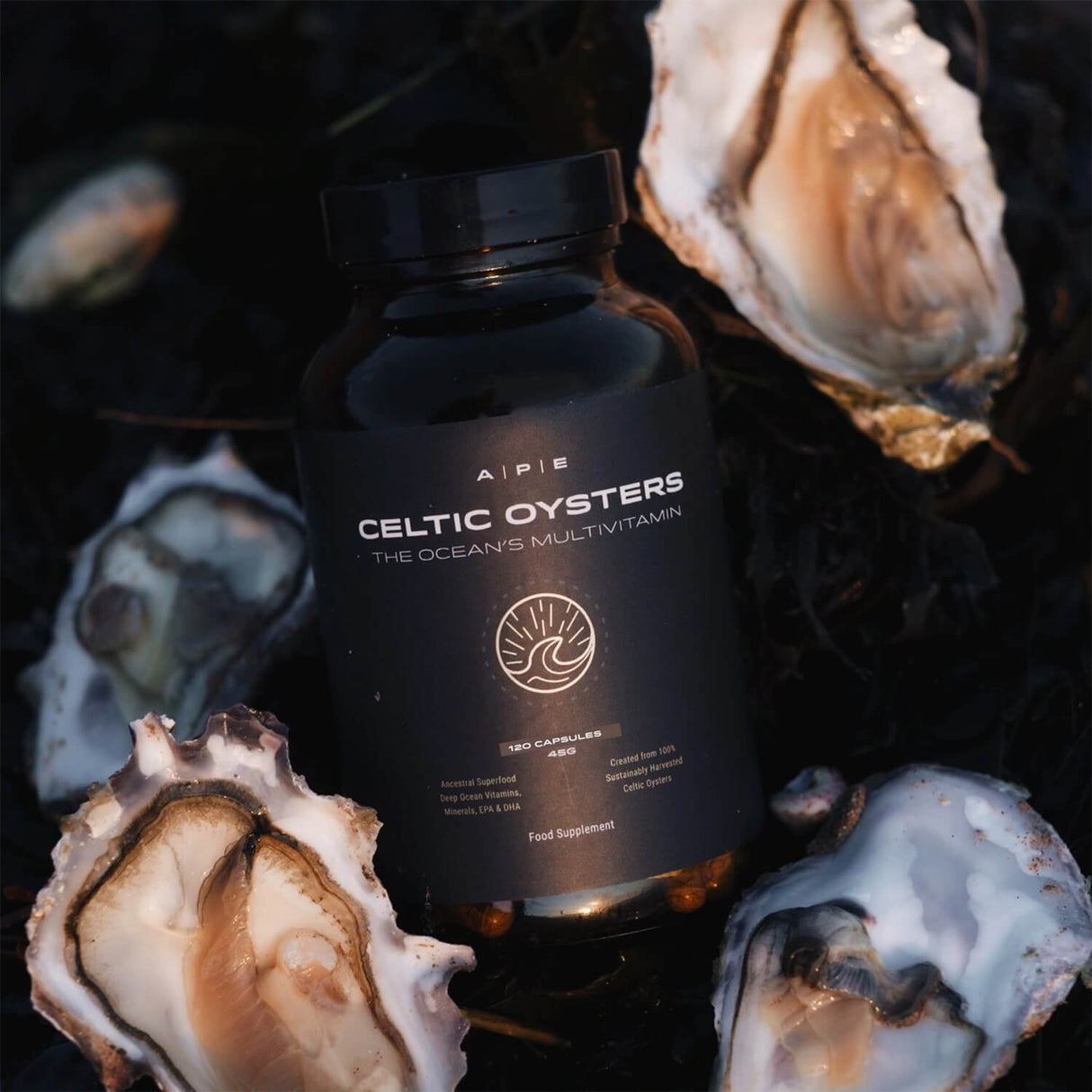 Supplement bottle labeled 'Celtic Oysters' surrounded by oyster shells on a dark background