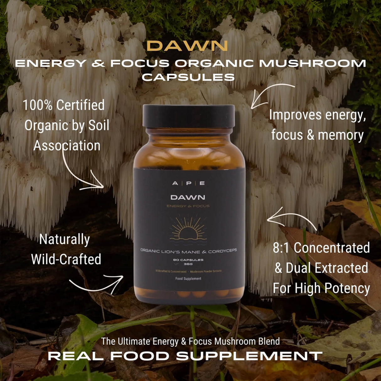 Bottle of Dawn APE Nutrition organic mushroom capsules with text highlighting benefits and certification.
